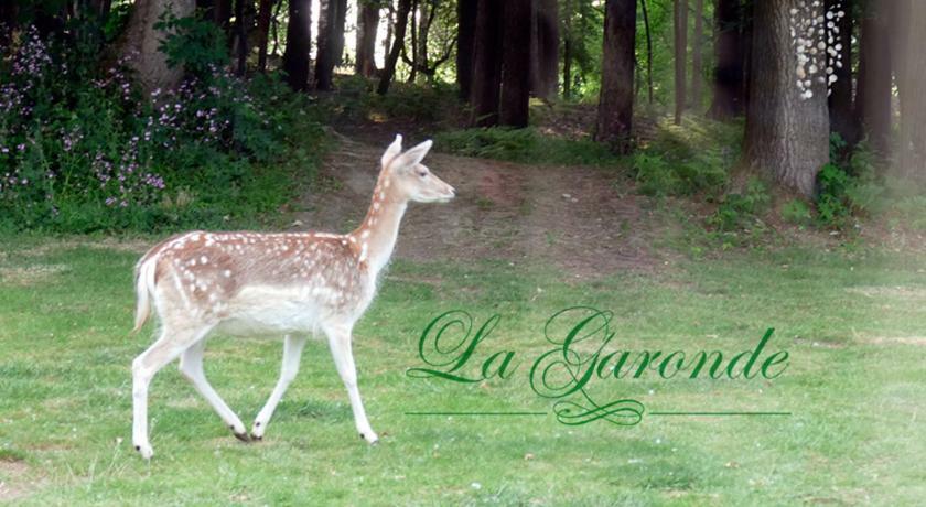 La Garonde Bed and Breakfast Boeschepe Εξωτερικό φωτογραφία