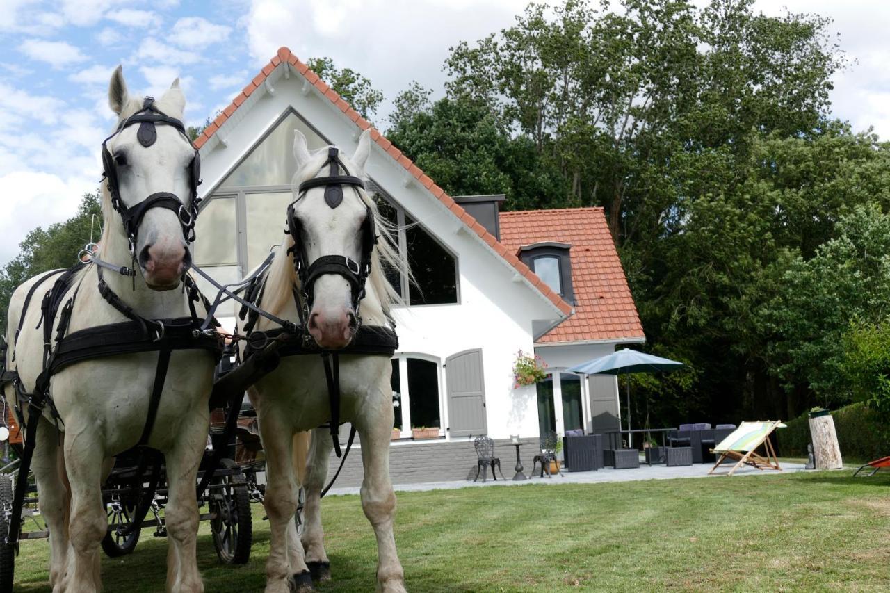 La Garonde Bed and Breakfast Boeschepe Εξωτερικό φωτογραφία